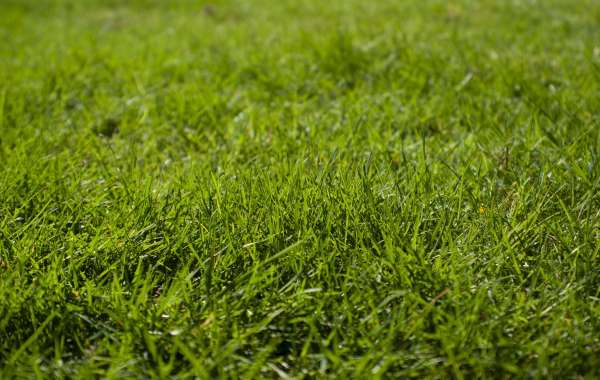 Playful Oasis - Artificial Grass for Playgrounds