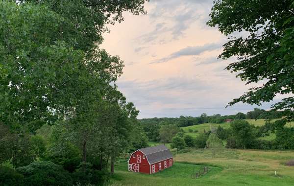 Farm Sheds: Where Functionality Meets Rural Aesthetics