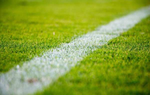 The Beauty of Artificial Turf - A Kiwi's Perspective on a Perfect Pitch