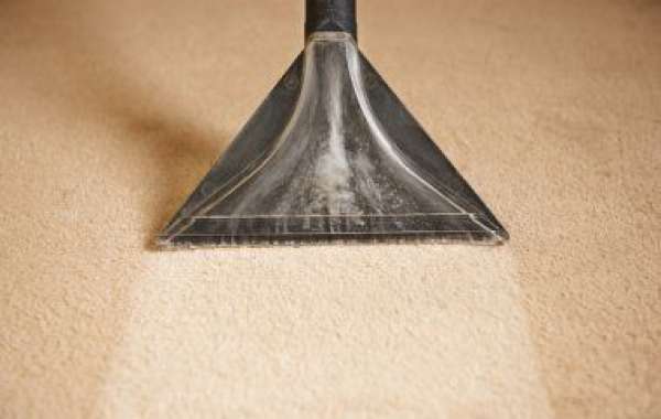 Auckland Carpet Cleaning: Your Guide to a Brighter, Fresher Home (and How to Find the Perfect Service for You!)