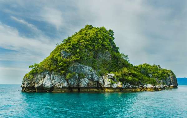 the Beauty of Cathedral Cove: An Unforgettable Tour Experience