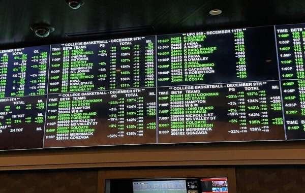 Elevate Your Game with Sports Betting