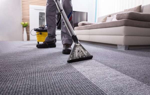 Essential Reasons to Invest in Professional Carpet Cleaning for Your Home