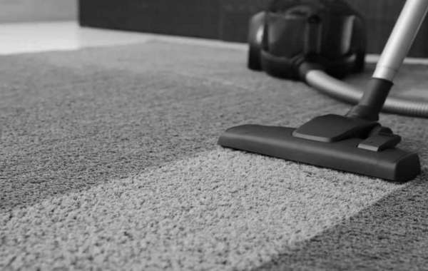 Why Professional Carpet Cleaning Services Are a Household Necessity