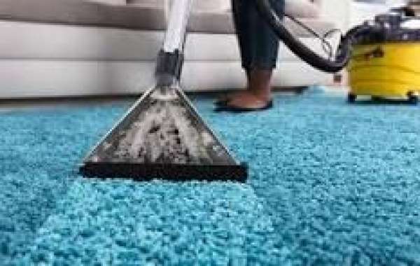 Professional Carpet Cleaning: A Foundation of Elegant Home Design