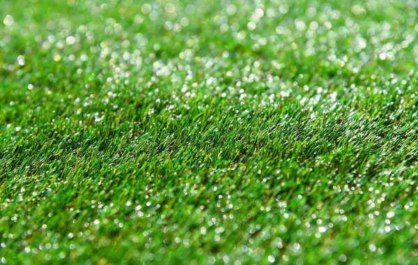 Artificial Grass NZ: The Best Choice for All Seasons