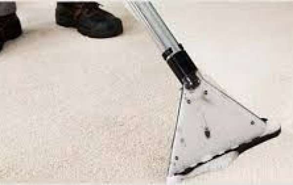 The Undeniable Benefits of Professional Carpet Cleaning for Every Home