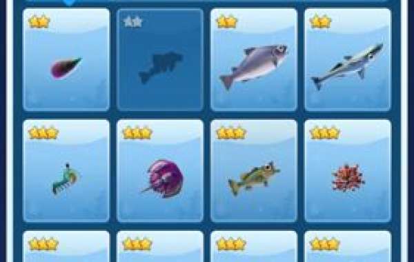 Fishing Tournament Overview - Monthly Prizes & Seasons