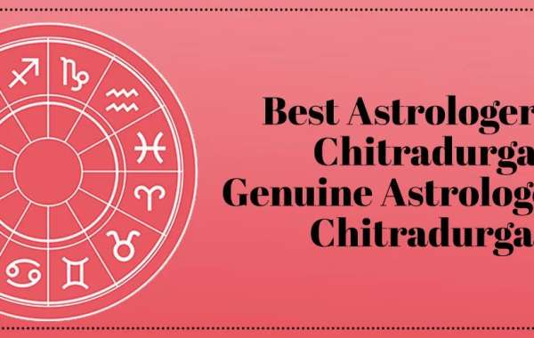 Best Astrologer in Holalkere