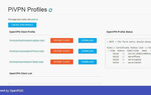 Pi VPN Server Setup - Enhance Privacy Easily