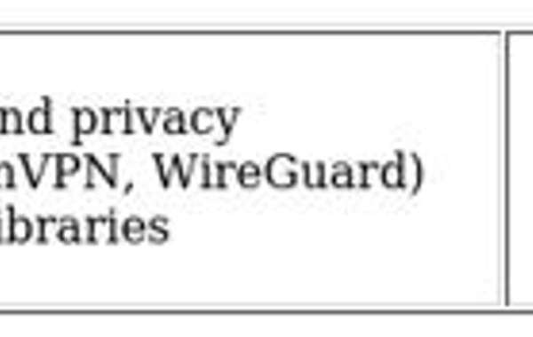 VPN Provider Comparison: OVPN vs PrivateVPN