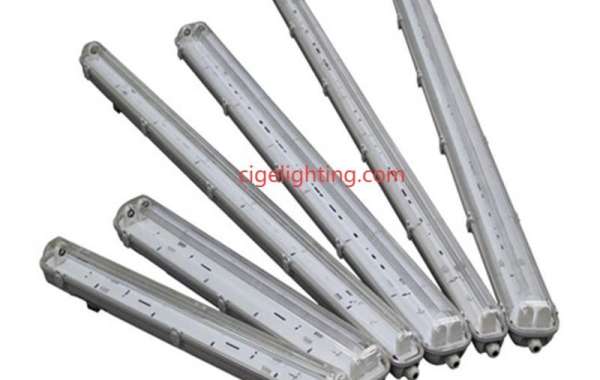 Cigelighting: Building Tomorrow with Ip65 Waterproof Fixture